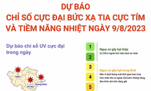 Dự báo chỉ số cực đại bức xạ tia cực tím và tiềm năng nhiệt ngày 9/8