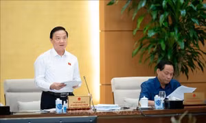 Điều chỉnh đồng bộ các biện pháp, hình phạt đối với người chưa thành niên