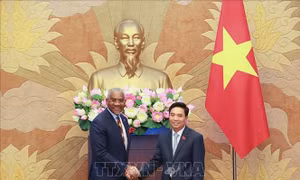 Thúc đẩy hợp tác Việt Nam - Hoa Kỳ ngày càng thực chất, đi vào chiều sâu