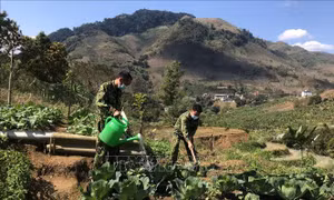 'Vành đai thép' phòng, chống dịch COVID-19 nơi biên giới - Bài cuối: Biên cương giữ vững vùng xanh