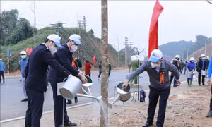 Tết trồng cây - nét đẹp văn hóa ngày Xuân