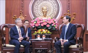 TP Hồ Chí Minh và tỉnh Hải Nam (Trung Quốc) thúc đẩy hợp tác nhiều lĩnh vực
