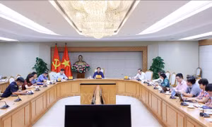 Có giải pháp phù hợp, căn cơ để xử lý dịch tả lợn châu Phi