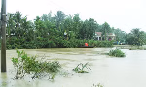Khánh Hòa tập trung ứng phó mưa bão    