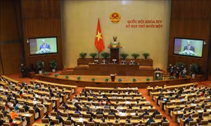 Kỳ vọng một nhiệm kỳ Chính phủ tích cực đổi mới, cải cách mạnh mẽ và quyết liệt