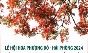 Lễ hội Hoa phượng đỏ - Hải Phòng 2024: Hải Phòng - Bừng sáng miền di sản