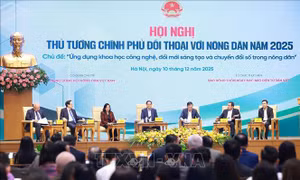 Nông nghiệp – Nông dân – Nông thôn là trụ đỡ cho nền kinh tế 