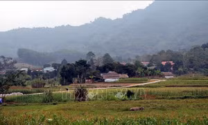Xuân về trên quê hương cách mạng Kim Bình 