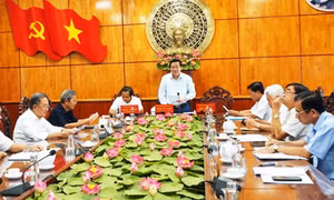 Cụ thể hóa các tiềm năng, lợi thế, tạo mũi nhọn tăng trưởng kinh tế tỉnh Long An