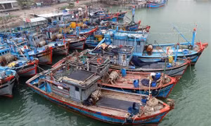 Ứng phó với bão Conson: Thanh Hóa kêu gọi tàu thuyền vào nơi tránh trú bão an toàn