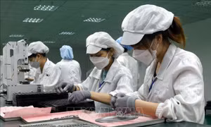 Nhiều doanh nghiệp đạt 100% lao động trở lại làm việc sau kỳ nghỉ