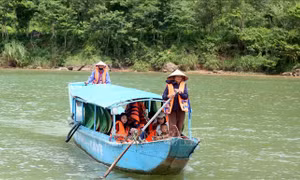 Hiệu quả từ mô hình cộng đồng bảo vệ Di sản thiên nhiên Phong Nha - Kẻ Bàng