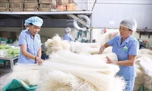 Biến di sản thành tài sản: Hướng đi mới cho làng nghề