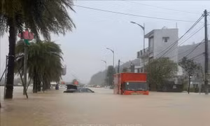 Mực nước sông ở Gia Lai dâng cao kỷ lục, nhiều tuyến đường bị tắc nghẽn, tê liệt