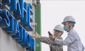 Kiểm định chuyên sâu 12 nhà ga Metro Cát Linh - Hà Đông