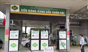Ninh Thuận: Kiểm tra, xử lý các trường hợp vi phạm kinh doanh xăng dầu