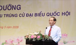 Bồi dưỡng, giới thiệu về Quốc hội cho người lần đầu trúng cử đại biểu Quốc hội