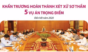 Khẩn trương hoàn thành xét xử sơ thẩm 5 vụ án trọng điểm
