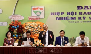 Ngành rau quả Việt Nam đặt mục tiêu xuất khẩu 10 tỷ USD vào năm 2030