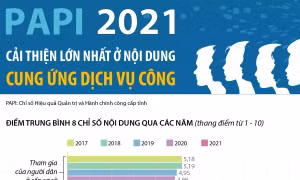 PAPI 2021: Cải thiện lớn nhất ở nội dung Cung ứng dịch vụ công