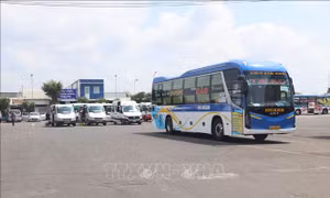 Doanh nghiệp vận tải ứng phó biến động giá nhiên liệu