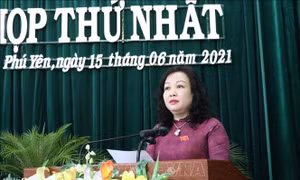 Phê chuẩn kết quả bầu Chủ tịch, Phó Chủ tịch HĐND các tỉnh Phú Yên, Thái Bình, Nam Định 