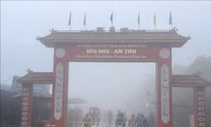 Chấn chỉnh vi phạm tại di tích địa điểm khởi nghĩa Bà Triệu