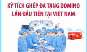 Kỳ tích ghép đa tạng domino lần đầu tiên tại Việt Nam