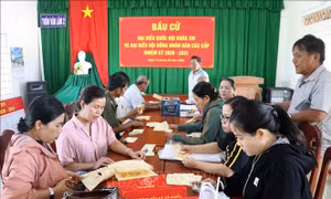 Bầu cử Quốc hội và HĐND: Tạo khí thế sôi nổi 'Ngày hội non sông'