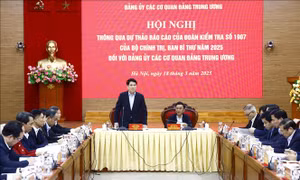 Thông qua dự thảo báo cáo kiểm tra với Đảng uỷ Các cơ quan Đảng Trung ương