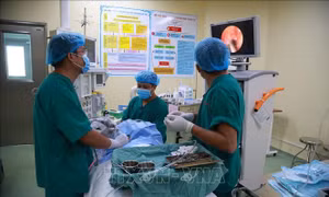 Bạc Liêu: Lấy ấu trùng ra khỏi tai bé 16 tháng tuổi 
