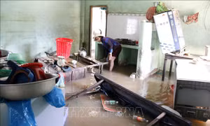 Người dân vùng lũ Lâm Đồng nỗ lực vực dậy sau thiên tai, sớm ổn định cuộc sống