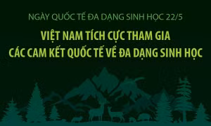 Việt Nam tích cực tham gia các cam kết quốc tế về đa dạng sinh học