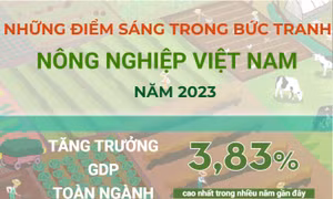 Những điểm sáng trong bức tranh nông nghiệp Việt Nam năm 2023