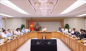 Tính toán lộ trình cụ thể, khả thi khi thực hiện cơ chế mua bán điện trực tiếp