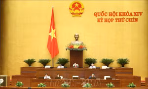 Thông cáo báo chí số 06, Kỳ họp thứ 9, Quốc hội khóa XIV