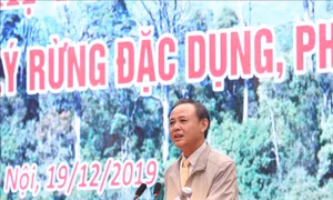 Rà soát các đầu mối, thủ tục, đảm bảo tốt việc cải cách thủ tục hành chính