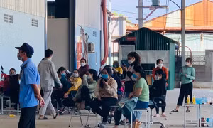 Đắk Lắk: Hỗ trợ 200 triệu đồng cho công nhân về quê ăn Tết sau vụ việc đòi trả lương