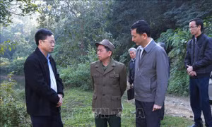 Bộ LĐ-TB&XH chính thức thông tin vụ việc 13 mộ liệt sĩ không có hài cốt tại Bắc Kạn
