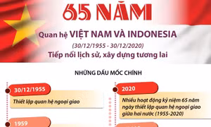 65 năm quan hệ Việt Nam và Indonesia: Tiếp nối lịch sử, xây dựng tương lai
