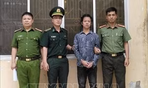 Bắt giữ đối tượng truy nã trốn ra nước ngoài