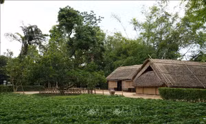 Lan tỏa giá trị văn hóa, lịch sử Di tích Kim Liên trong kỷ nguyên số