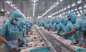 Quản lý mã số, mã vạch - Bài 1: Thúc đẩy thương mại điện tử toàn cầu