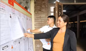 Ngày hội non sông - nơi ý Đảng hòa lòng dân - Bài 3: Vận động bầu cử - nơi cử tri lắng nghe, tự tin lựa chọn