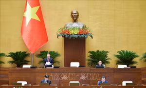Miễn nhiệm chức vụ Tổng Thư ký Quốc hội đối với ông Bùi Văn Cường