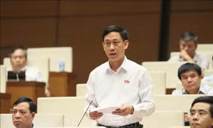 Xây dựng nhà nước pháp quyền: Tránh tình trạng 'không quản được thì cấm'