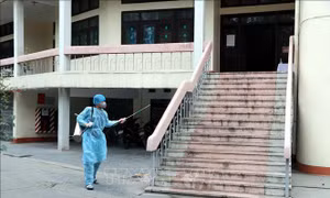 Doanh nghiệp chủ động tìm giải pháp thích ứng trong tình hình dịch COVID-19