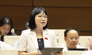 Không tạo khoảng trống pháp lý khi cắt giảm các ngành, nghề đầu tư kinh doanh có điều kiện