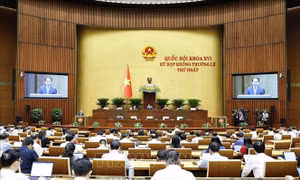Không để phân cấp, phân quyền trở thành gánh nặng cho địa phương