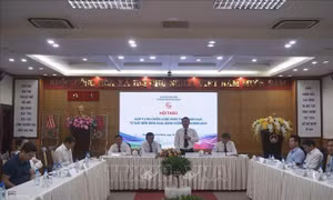TP Hồ Chí Minh đặt mục tiêu giáo dục đạt trình độ tiên tiến khu vực châu Á vào năm 2030